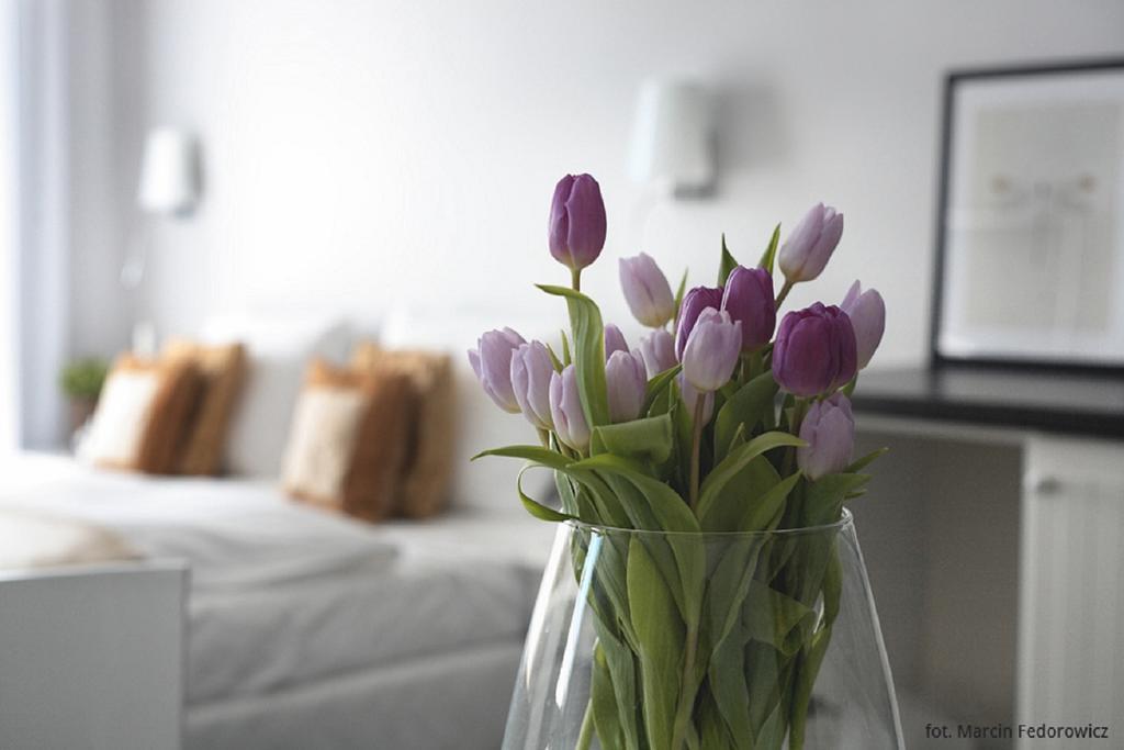 Hotel Amber Suite & Spa - Enklawa Dla Doroslych (Adults Only) Międzywodzie Buitenkant foto
